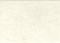 1985 Nissan Mint White